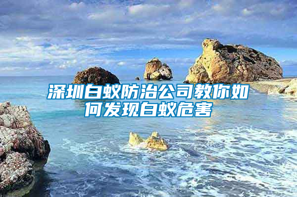 深圳白蟻防治公司教你如何發現白蟻危害