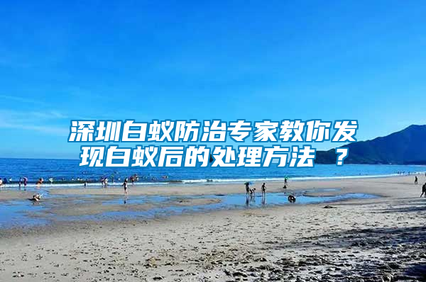 深圳白蟻防治專家教你發現白蟻后的處理方法 ？