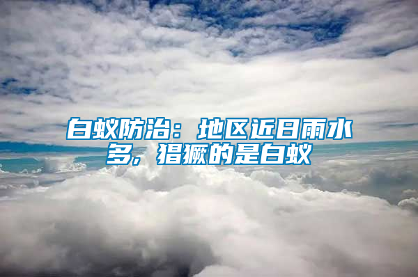 白蟻防治：地區近日雨水多, 猖獗的是白蟻