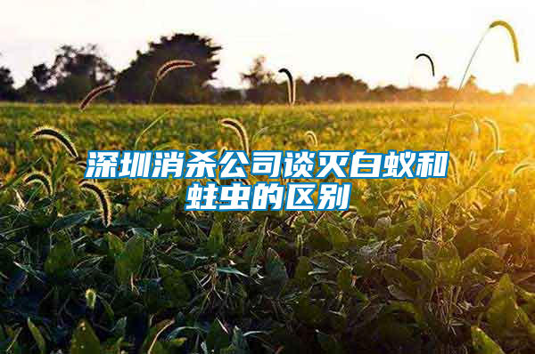 深圳消殺公司談滅白蟻和蛀蟲的區別